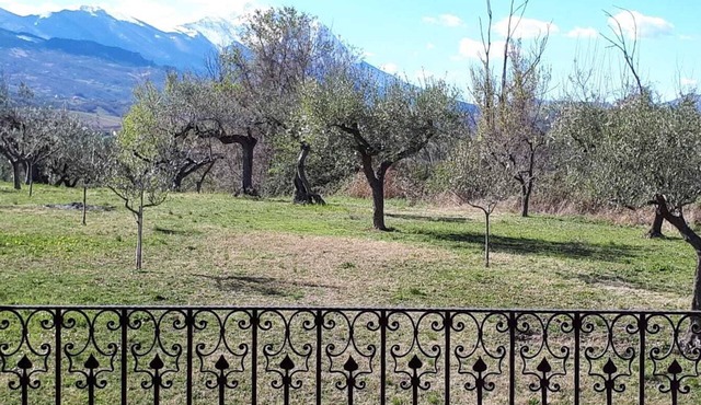 Ancient farmhouse with vaulted ceilings, surrounded by centuries-old olive trees and splendid views