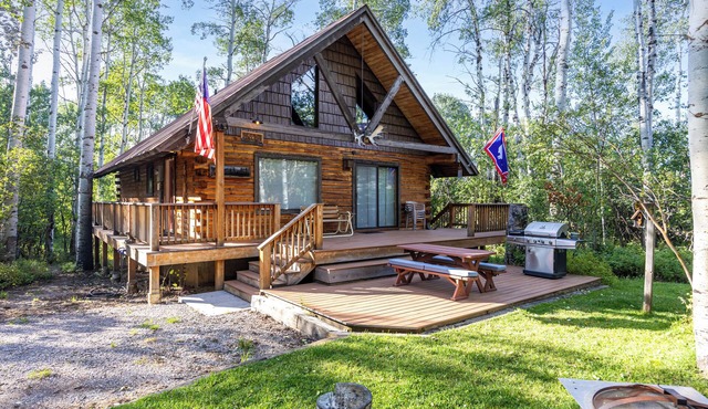 Large Rustic Cozy Cabin in Star Valley Ranch