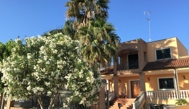 Le Palme B&B
