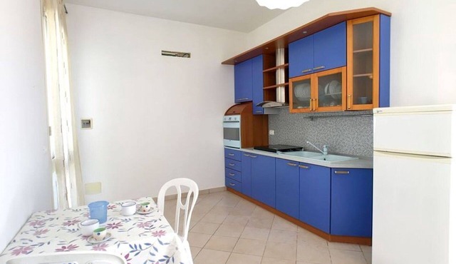 Lovely apartment for 4 people with A/C, TV, terrace and pets allowed