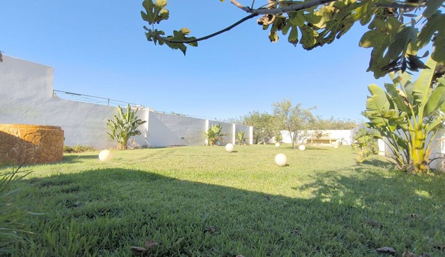 Lovely apartment for 5 guests with A/C, balcony and pets allowed