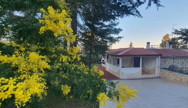 MERCADANTE - Luxury Holiday House