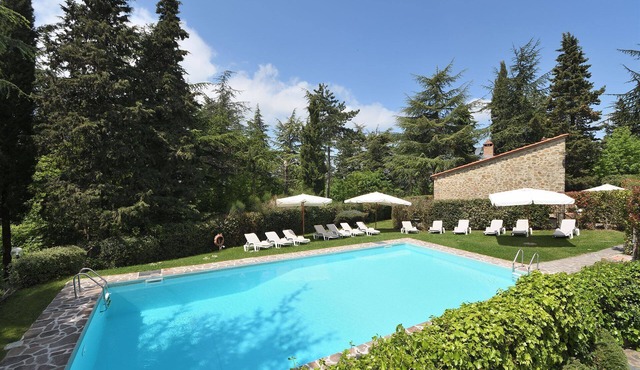 Peperoncino, Castellare in Chianti, Gaiole in Chianti, Siena and Chianti