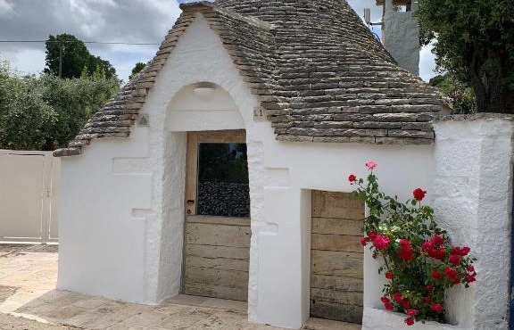Trullidea