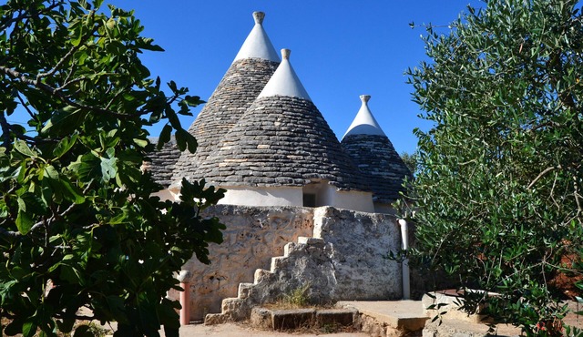 TRULLO PACE FANTASTICO PLACE WITH POOL AND WIFI