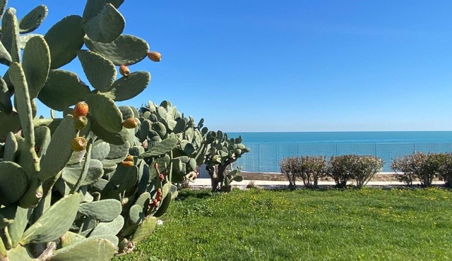 Villa with Private Entrance by the Sea