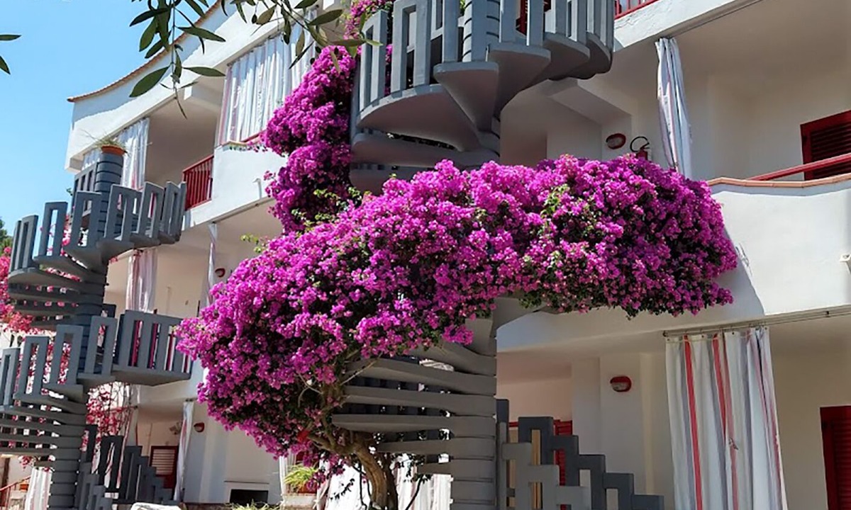 Mandrione House | RESIDENCE JOLLY