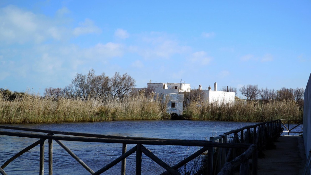 Photo of Others in Marina di Ostuni