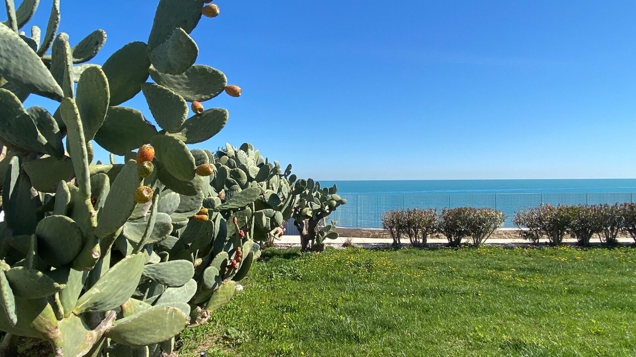 Photo of Outdoor in Trani