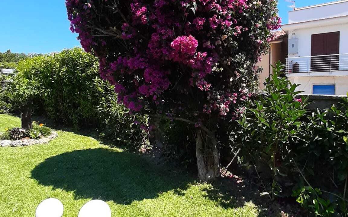 Photo of Outdoor in Scario
