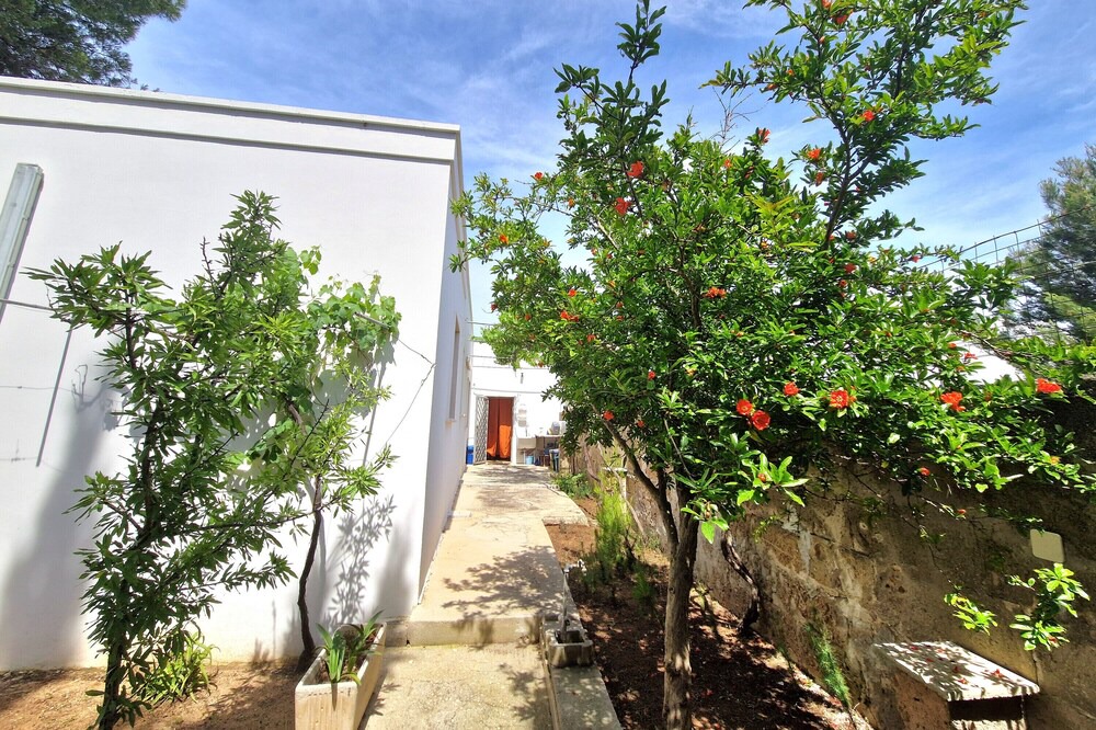 Photo of Outdoor in Torre Squillace