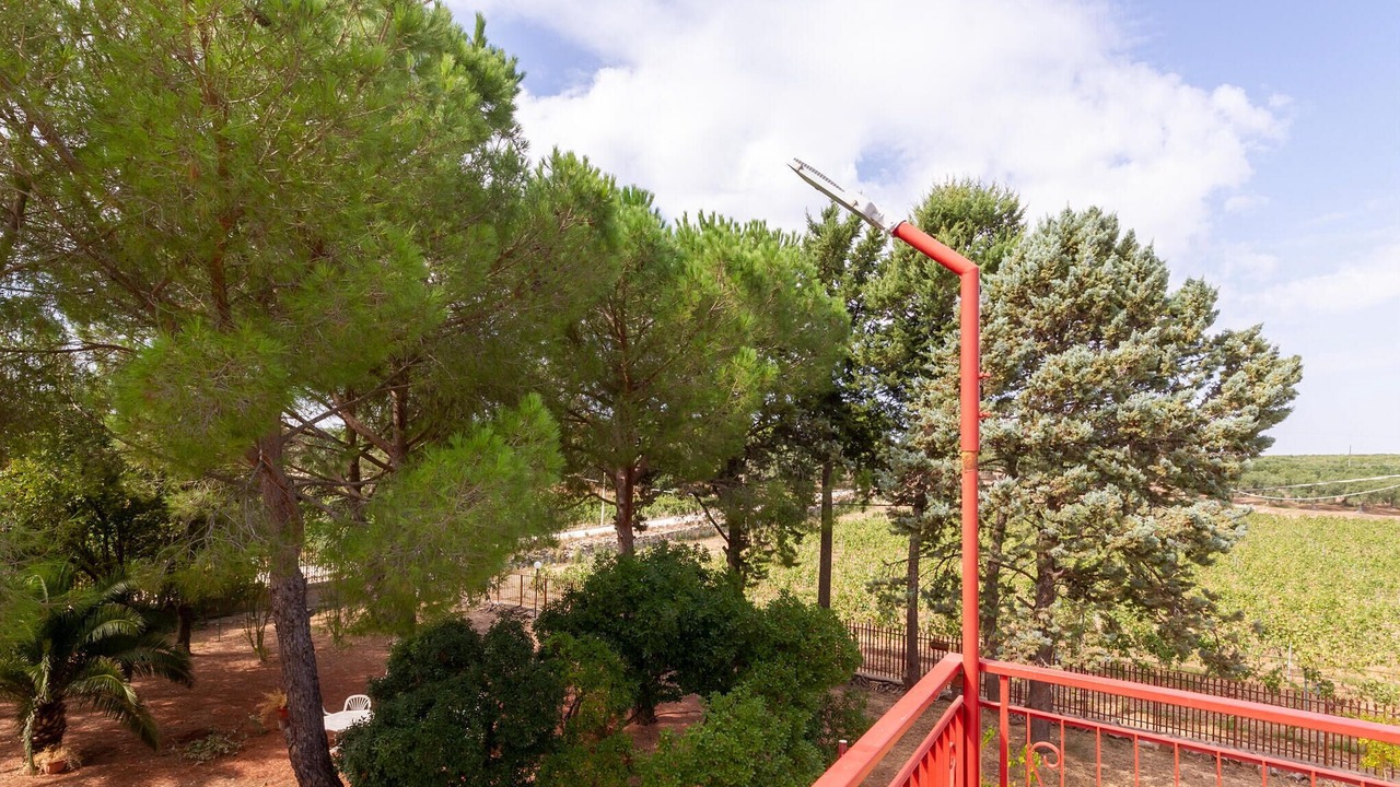 Photo of Outdoor in Bitonto