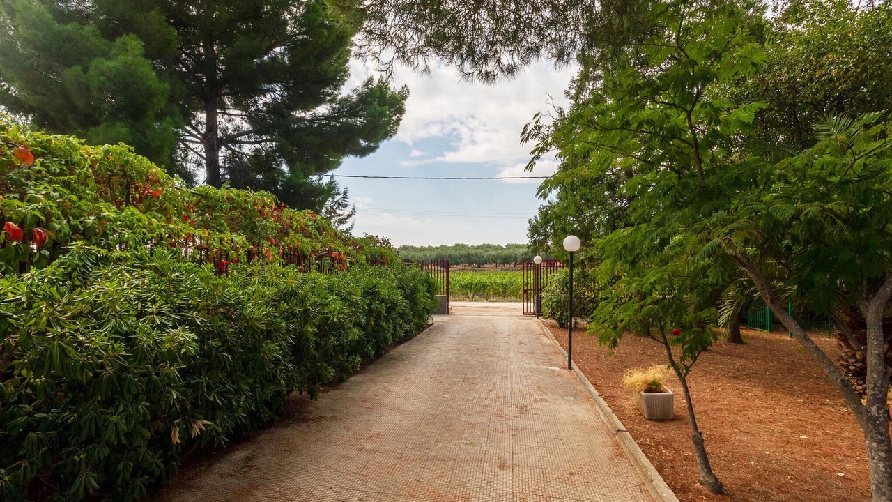 Photo of Outdoor in Bitonto
