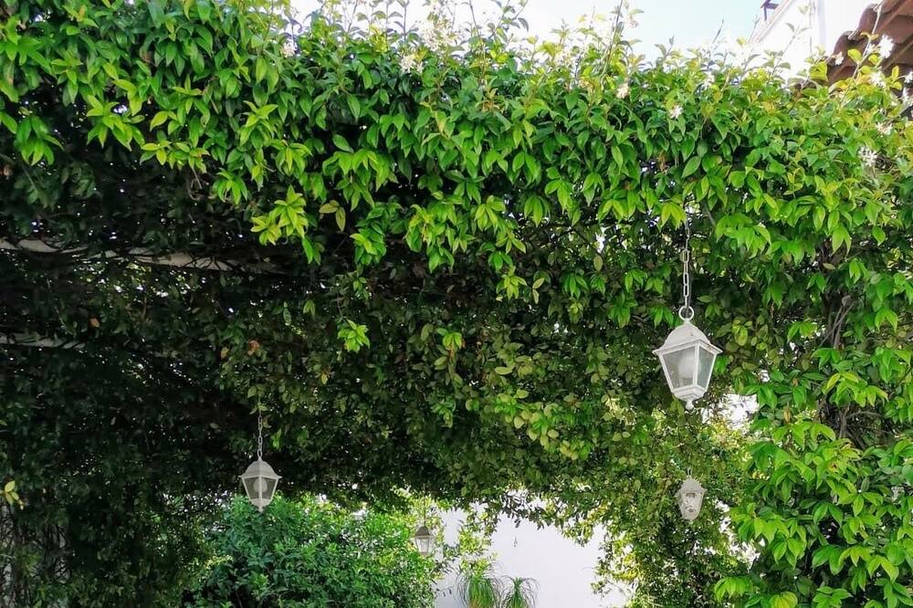 Photo of Outdoor in Magliano