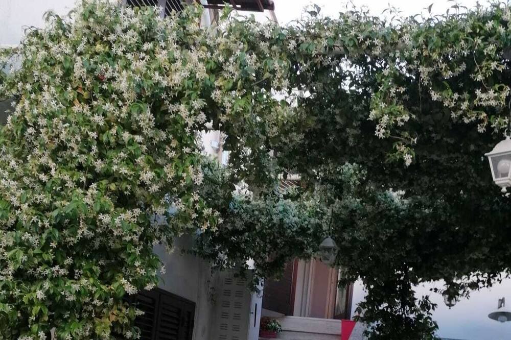 Photo of Outdoor in Magliano
