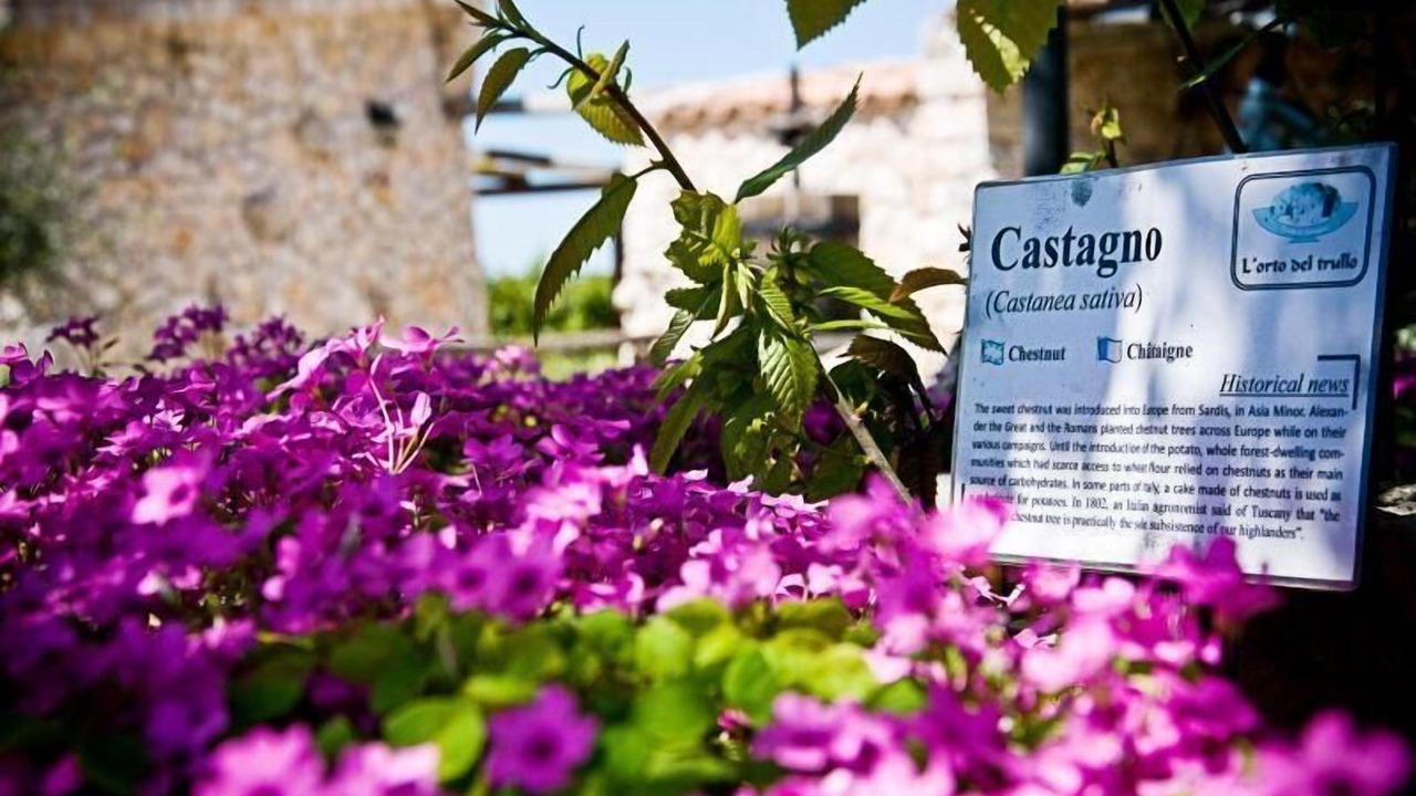 Photo of Outdoor in Martina Franca