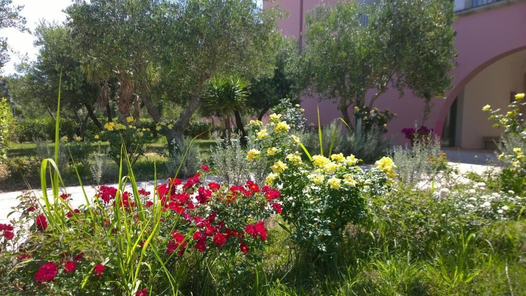 Photo of Outdoor in Otranto