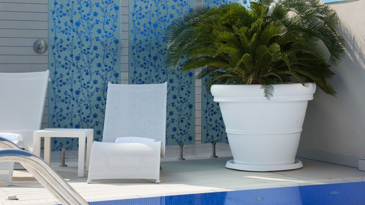 Photo of Outdoor in Municipio 1