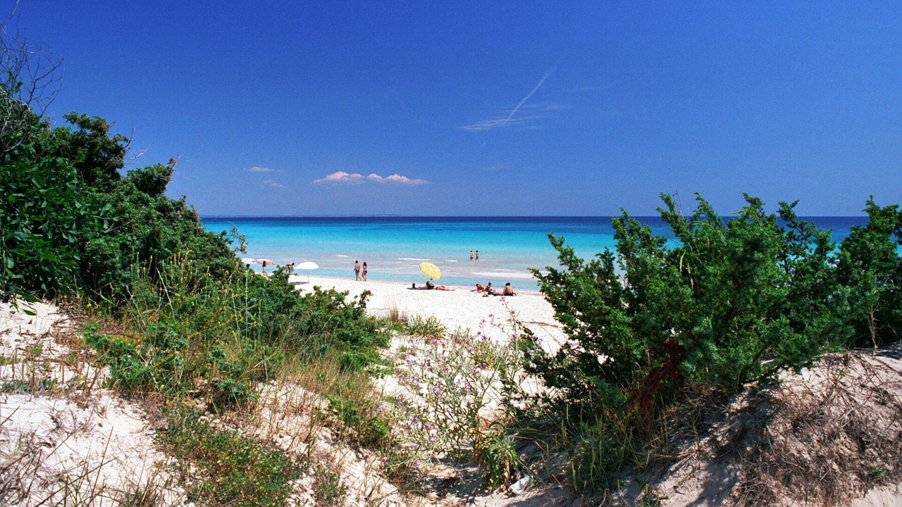 Photo of Others in Punta Prosciutto
