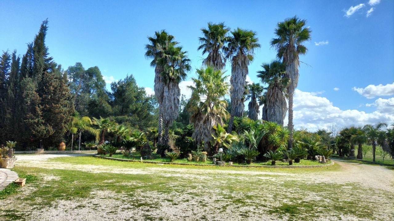 Photo of Others in Novoli