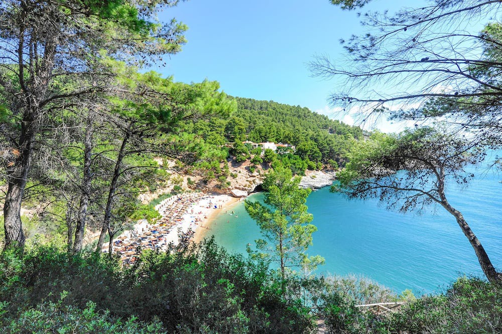 Photo of Others in Pugnochiuso
