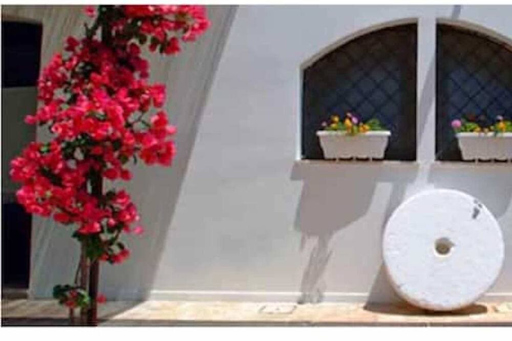 Photo of Others in Ostuni