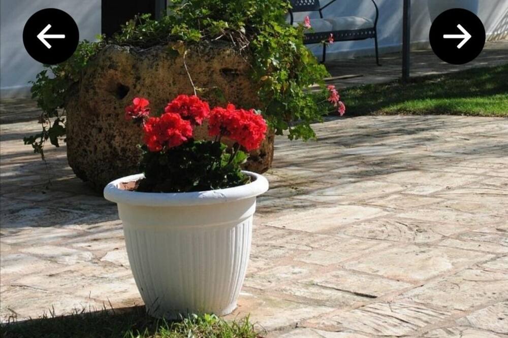 Photo of Others in Ostuni