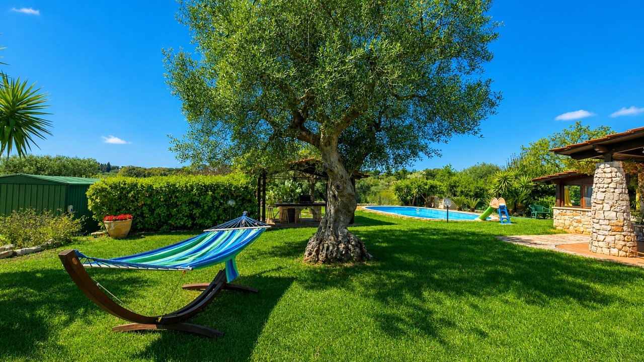 Photo of Livingroom in Cozzana
