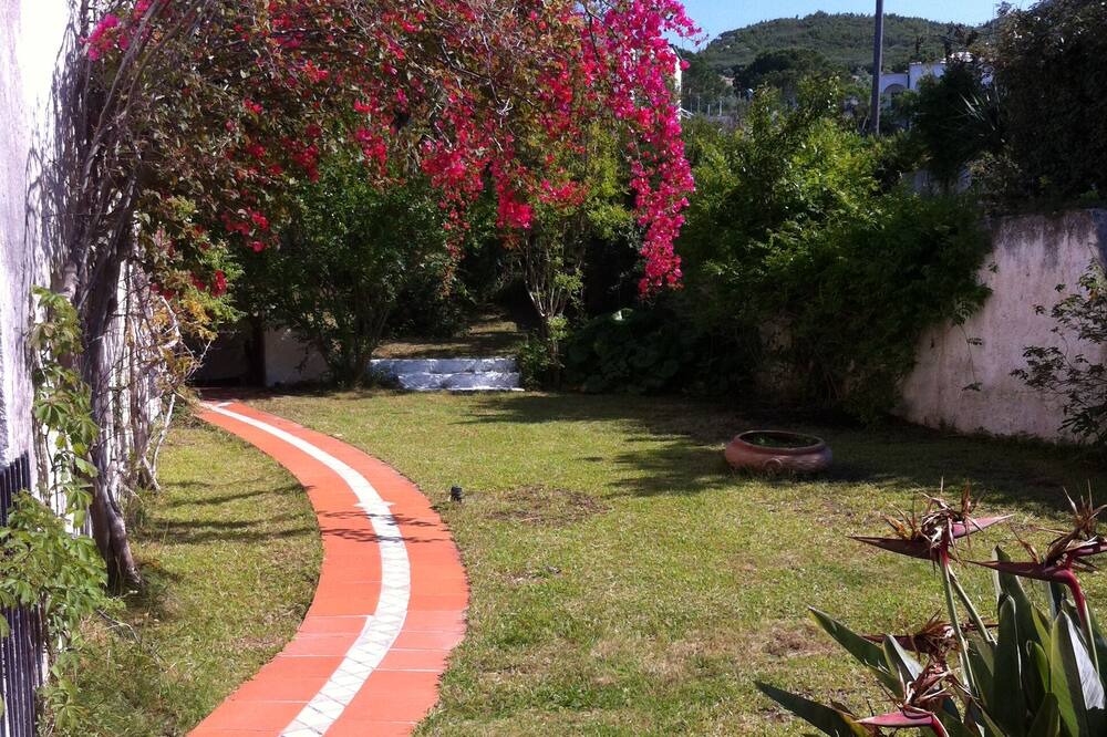 Photo of Outdoor in Peschici