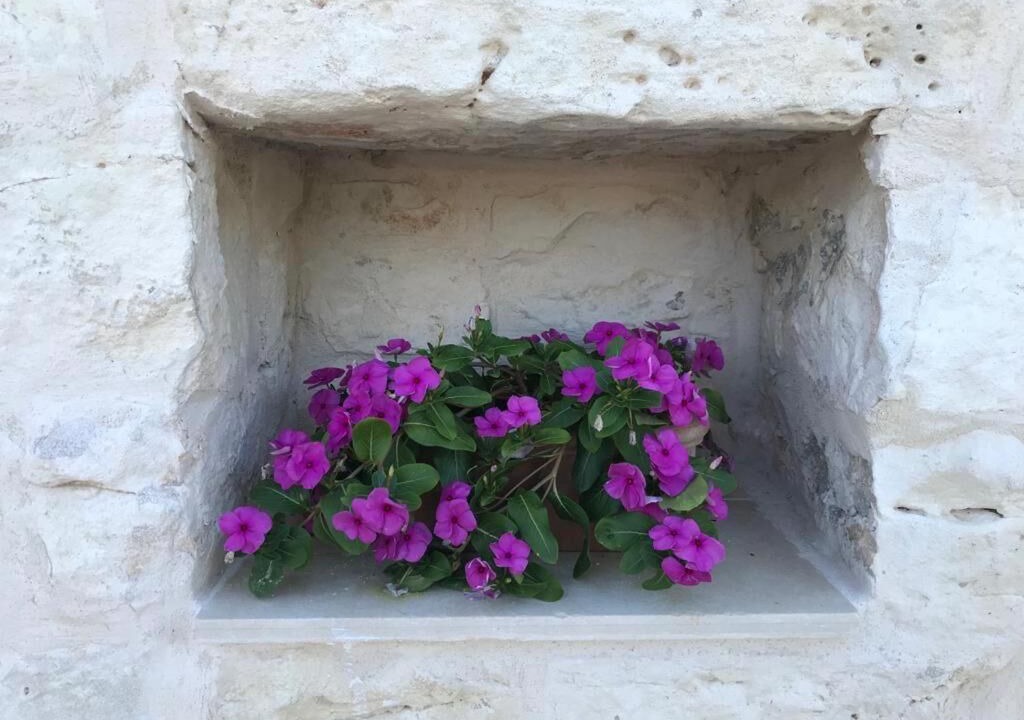 Photo of Outdoor in Ceglie Messapica