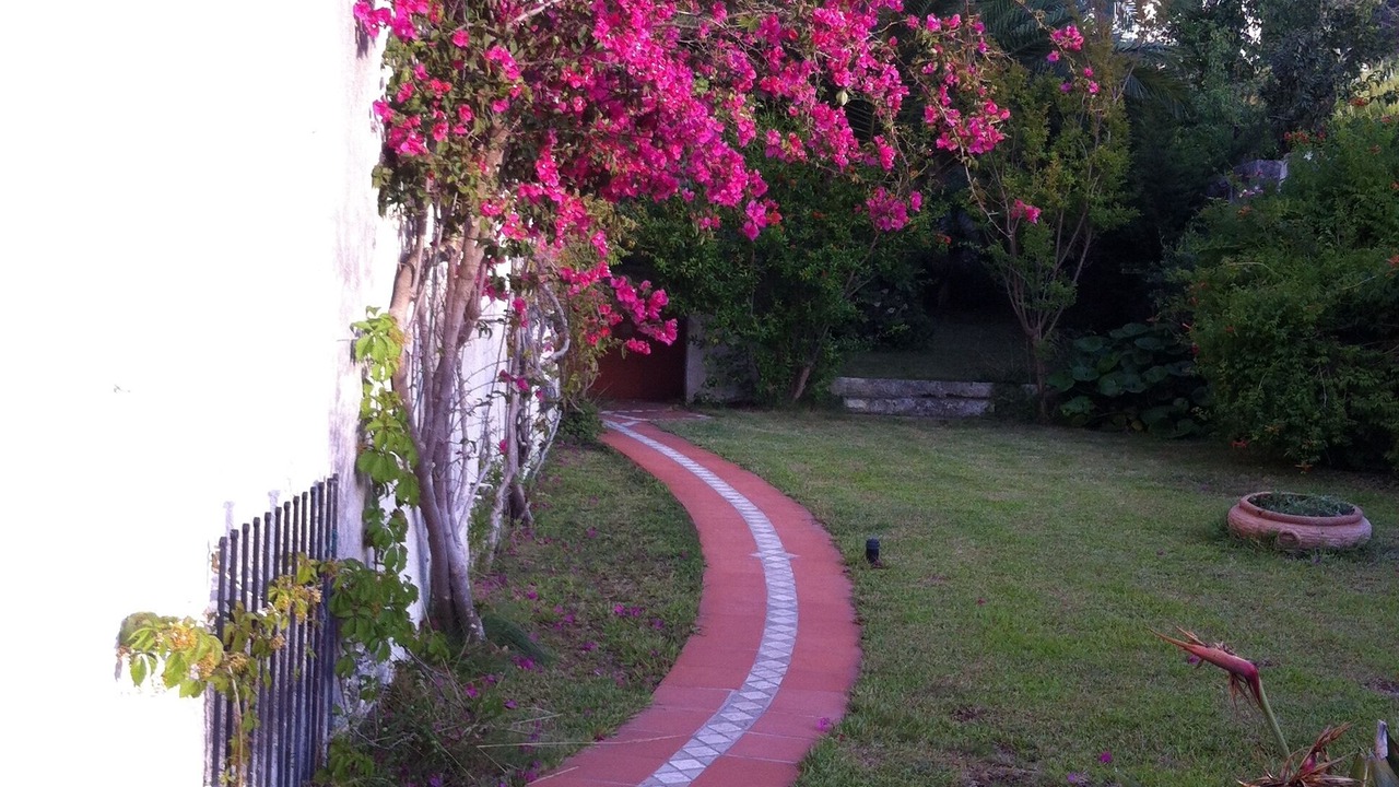 Photo of Outdoor in Peschici