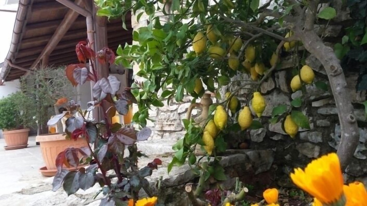 Photo of Outdoor in Gioia del Colle