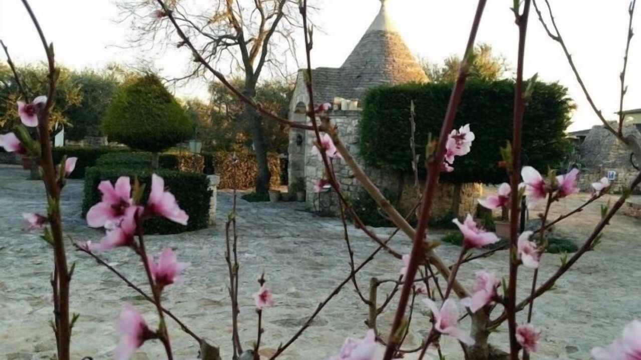 Photo of Outdoor in Gioia del Colle