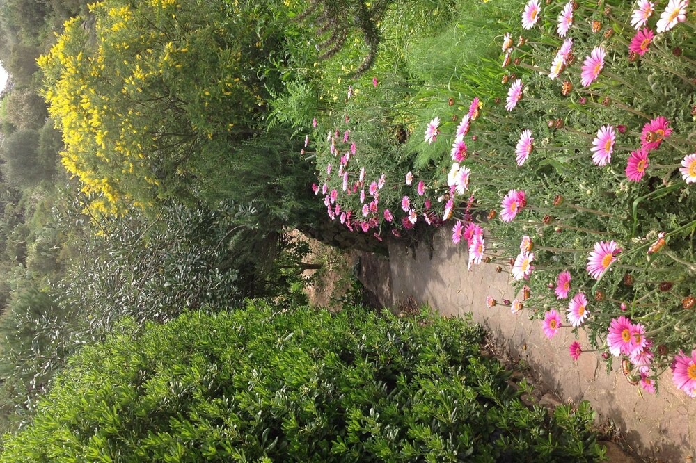 Photo of Outdoor in Arbus