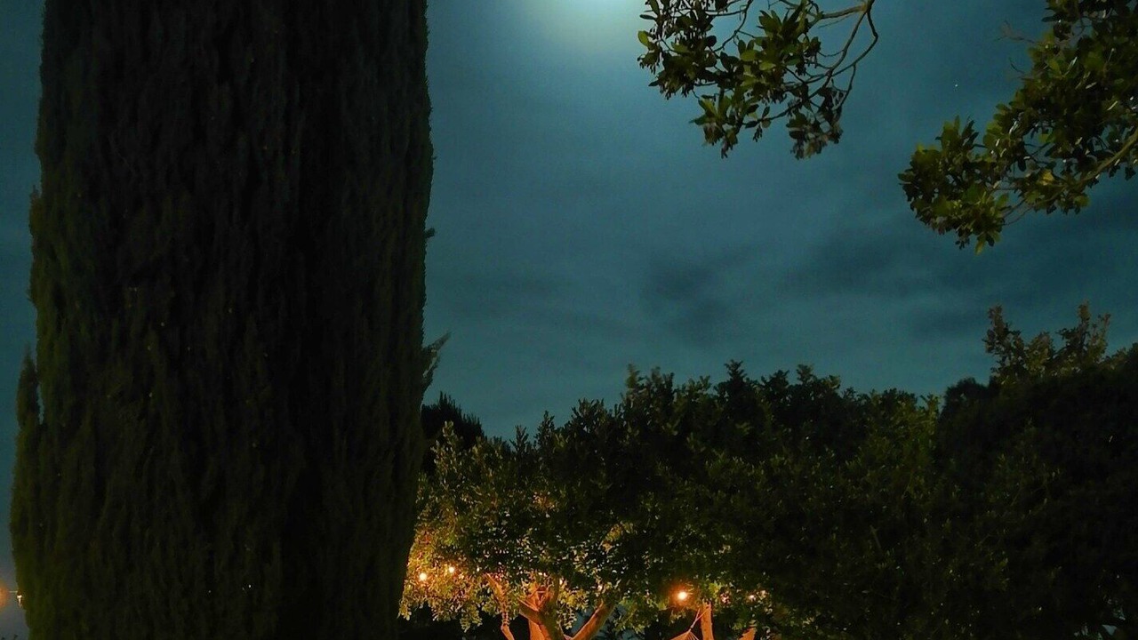Photo of Outdoor in Impalata