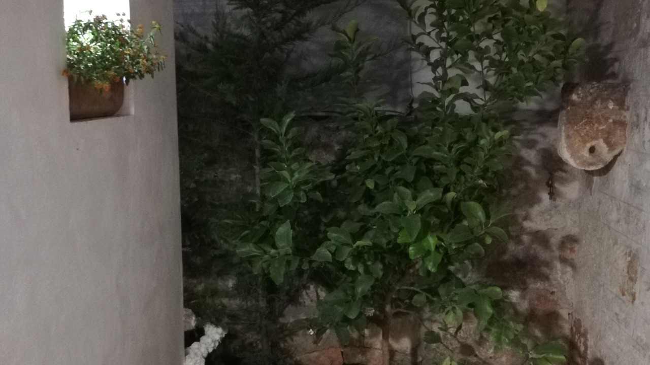 Photo of Bedroom in Locorotondo