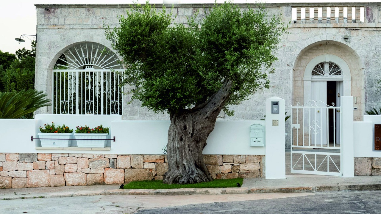 Photo of Others in Locorotondo