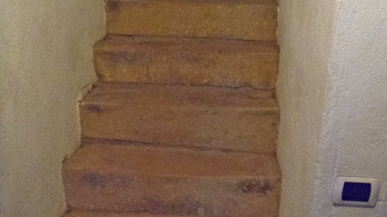 Photo of Others in Collinas