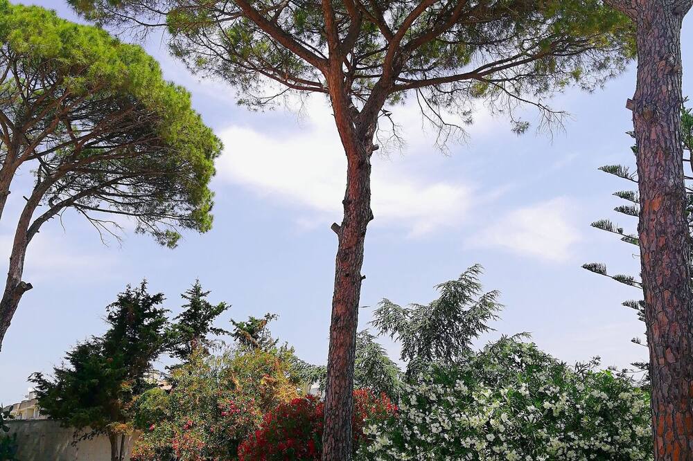 Photo of Outdoor in Carmiano