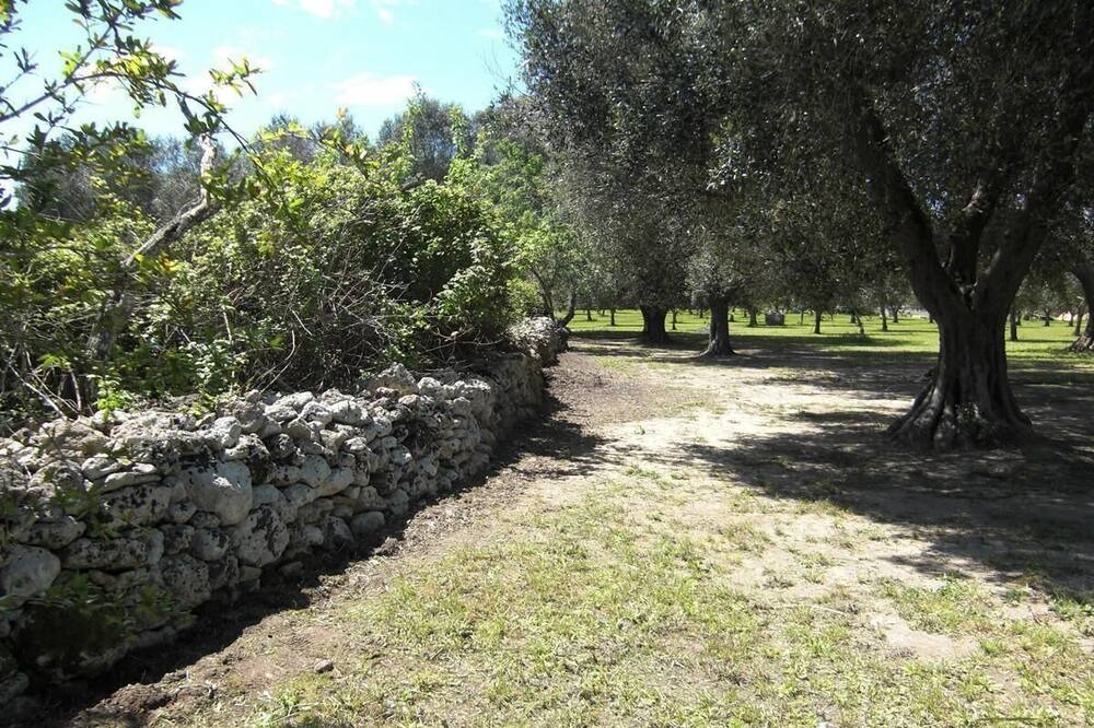 Photo of Others in Cutrofiano