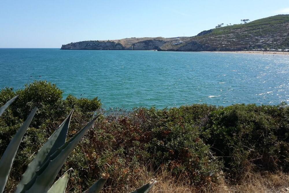 Photo of Others in Peschici