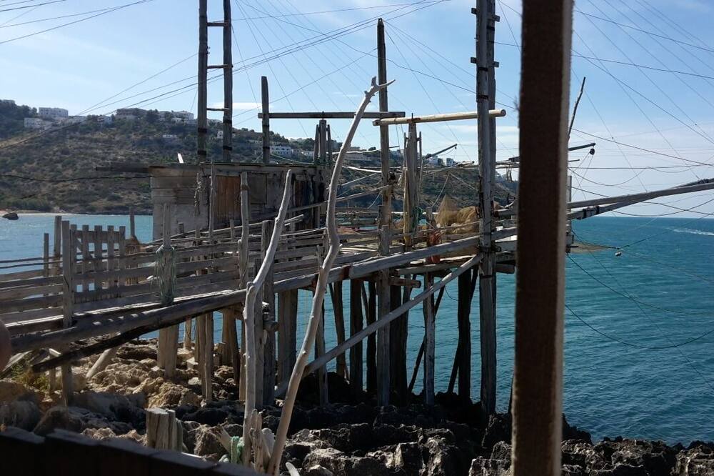 Photo of Others in Peschici