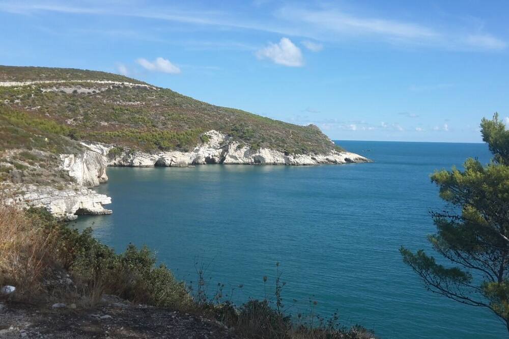 Photo of Others in Peschici