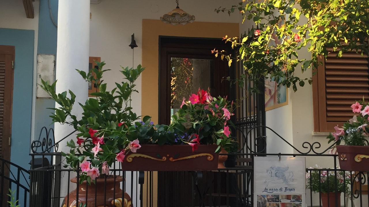 Photo of Outdoor in San Nicola Arcella