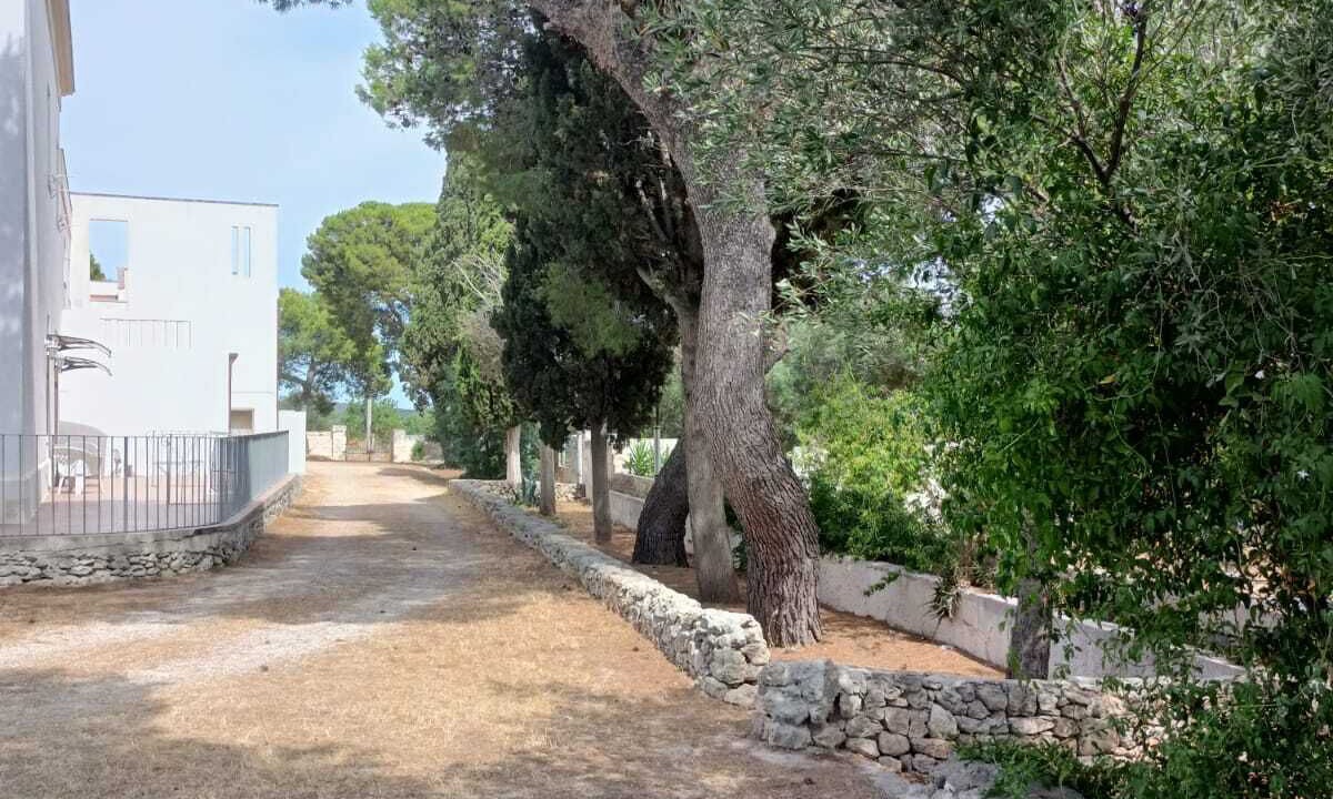 Photo of Outdoor in Lizzano