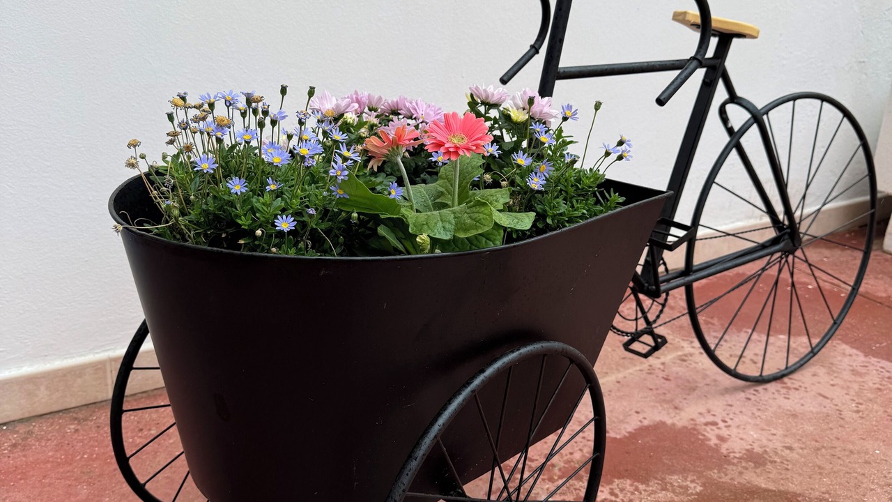 Photo of Outdoor in Santa Maria di Leuca