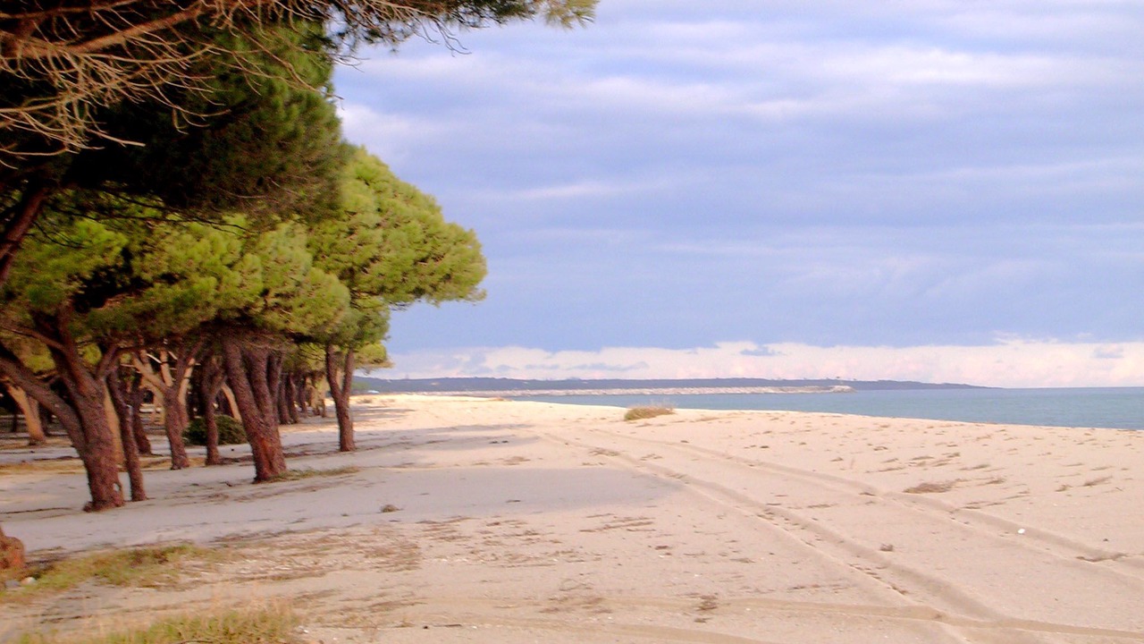 Photo of Others in Orosei