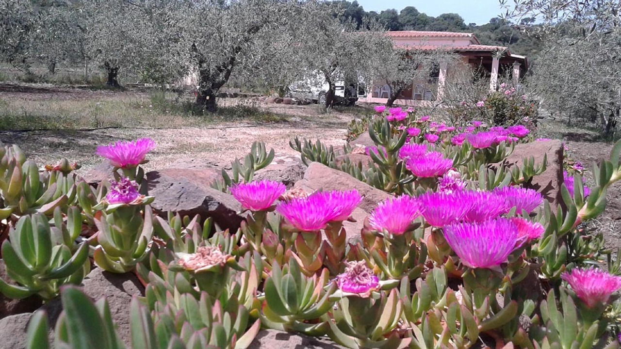 Photo of Outdoor in Orosei