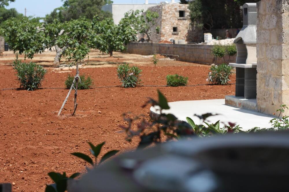 Photo of Outdoor in Torre Suda