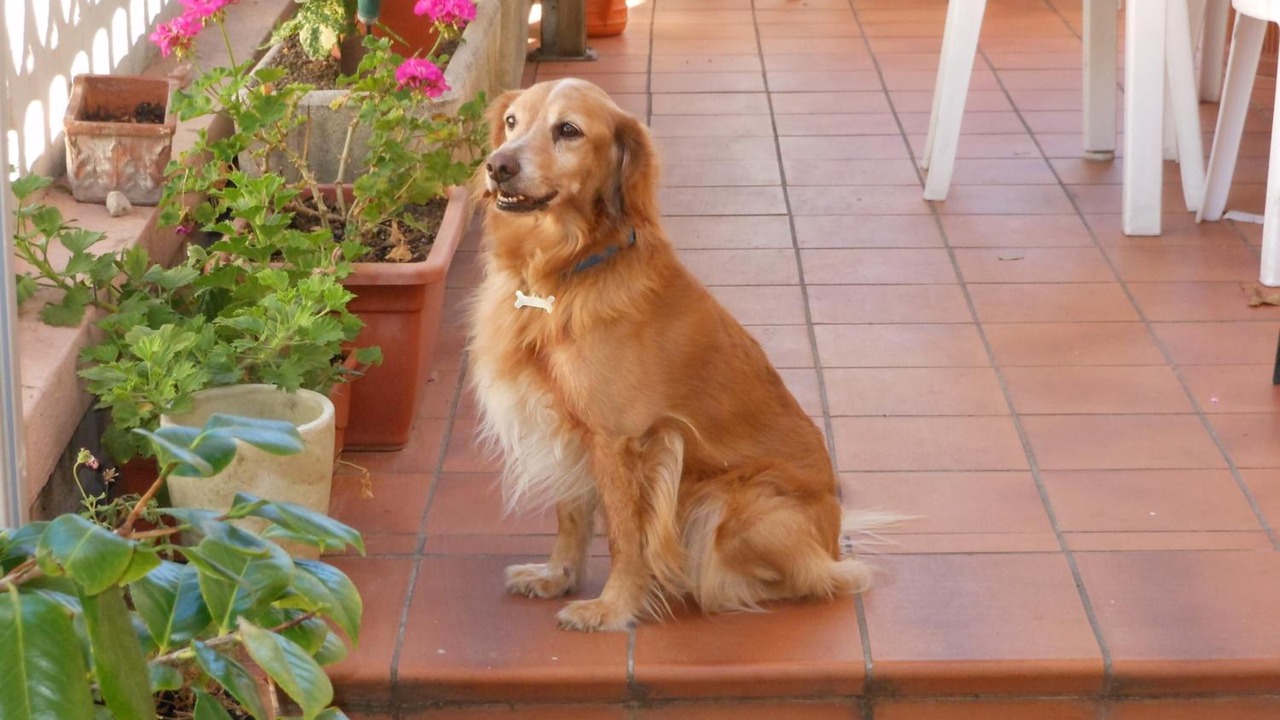 Photo of Outdoor in Quercianella